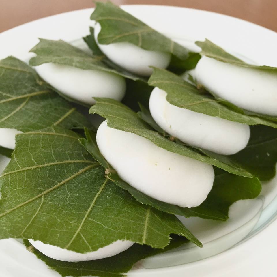 端午の節句に 柏餅 和光食材株式会社